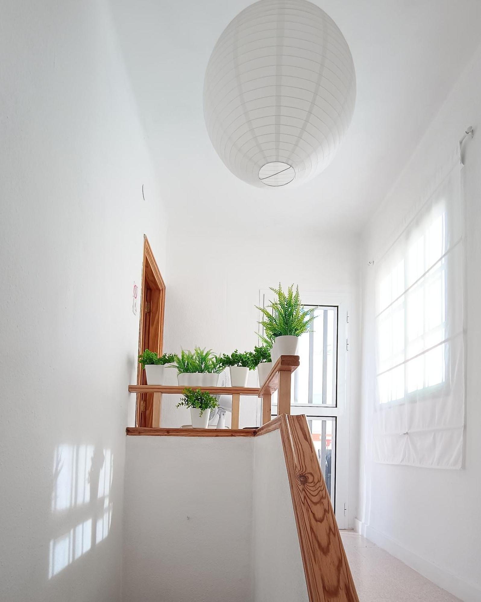 Center Santa Cruz, Alojamiento Centrico Con Gran Terraza, Cocina , Salon Y Banos, Todo Privado Εξωτερικό φωτογραφία