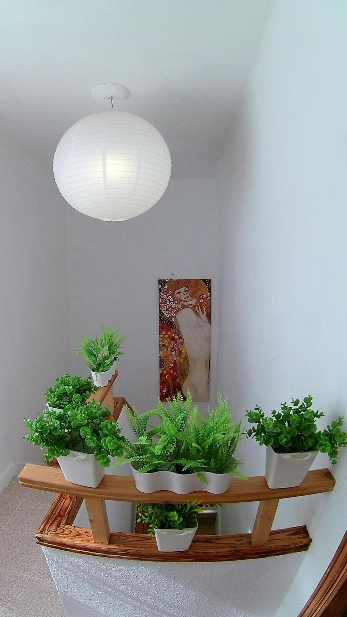 Center Santa Cruz, Alojamiento Centrico Con Gran Terraza, Cocina , Salon Y Banos, Todo Privado Εξωτερικό φωτογραφία